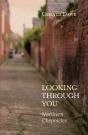 Looking Through You - Preview