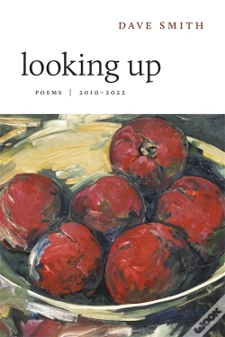Capa do artigo Looking Up