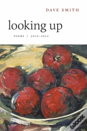 Capa do artigo Looking Up