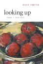 Looking Up - Preview