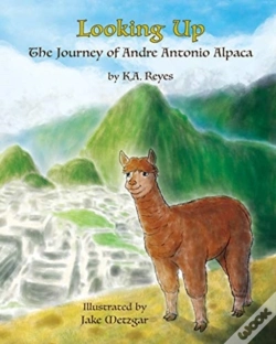 Capa do artigo Looking Up