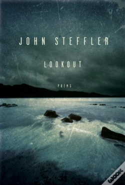 Capa do artigo Lookout