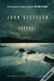 Capa do artigo Lookout
