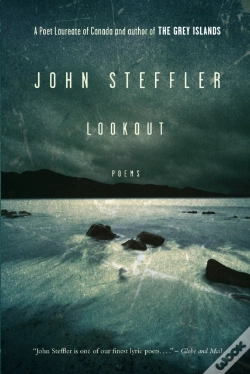 Capa do artigo Lookout