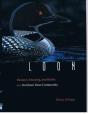 Loon - Preview