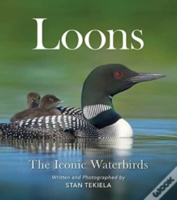 Capa do artigo Loons
