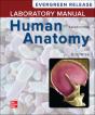 Loose Leaf Laboratory Manual By Wise For Saladin'S Human Anatomy: 2024 Release - Preview