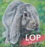 Lop Felt Worried - Preview