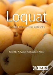 Loquat