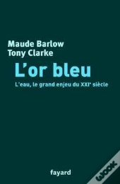 L'Or Bleu : L'Eau, Le Grand Enjeu Du Xxie Siècle