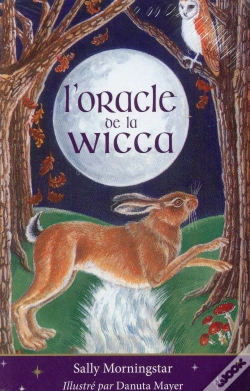 Capa do artigo L'Oracle De La Wicca ; Coffret