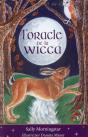 L'Oracle De La Wicca ; Coffret - Preview