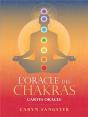 L'Oracle Des Chakras - Preview