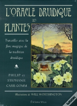 Capa do artigo L'Oracle Druidique Des Plantes ; Travailler Avec La Flore Magique De La Tradition Druidique