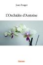 L'Orchidee D'Antoine - Preview
