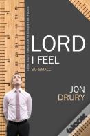 Lord I Feel So Small