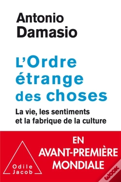 Capa do artigo L'Ordre Etrange Des Choses