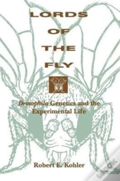 Capa do artigo Lords Of The Fly