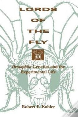 Capa do artigo Lords Of The Fly