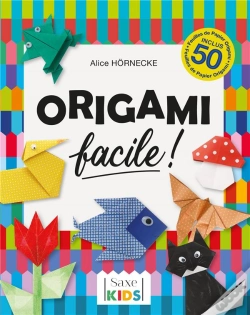 Capa do artigo L'Origami Facile