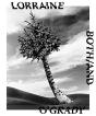 Lorraine Oâ€™Grady: Both/And - Preview