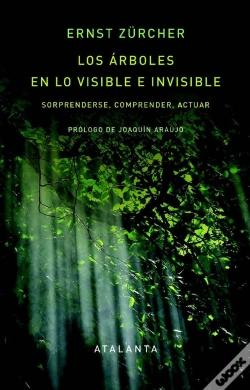 Capa do artigo Los Arboles En Lo Visible E Invisible