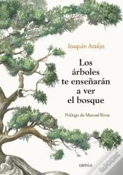 Capa do artigo Los Árboles Te Enseñarán A Ver El Bosque