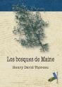 Los Bosques De Maine - Preview