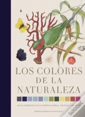 Capa do artigo Los Colores De La Naturaleza