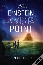 Capa do artigo Los Einstein De Vista Point