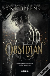 Capa do artigo Los Fae De Las Sombras 1 - Obsidian