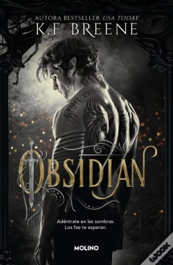 Capa do artigo Los Fae De Las Sombras 1 - Obsidian