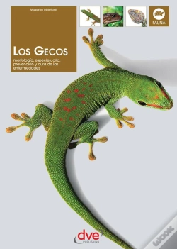 Capa do artigo Los Gecos