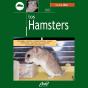 Los Hamsters - Preview