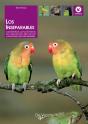Los Inseparables - Preview