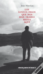 Capa do artigo Los Lentos Pasos Que Nos Han Traído Hasta Aquí