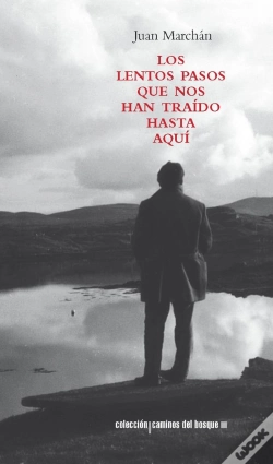 Capa do artigo Los Lentos Pasos Que Nos Han Traído Hasta Aquí