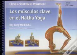 Los Músculos Clave En El Hatha Yoga