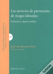 Capa do artigo Los Servicios De Prevencion De Riesgos Laborales. .