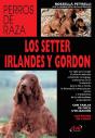 Los Setter Irlandés Y Gordon - Preview