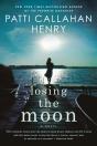 Losing The Moon - Preview