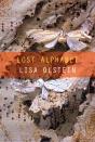 Lost Alphabet - Preview