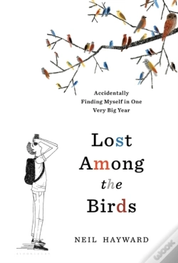 Capa do artigo Lost Among The Birds