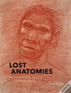 Capa do artigo Lost Anatomies