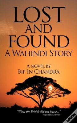 Capa do artigo Lost And Found