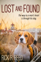 Capa do artigo Lost And Found