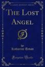 Lost Angel - Preview