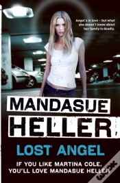 Capa do artigo Lost Angel