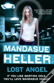 Capa do artigo Lost Angel