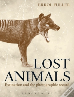 Capa do artigo Lost Animals